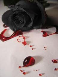 Bleeding Rose