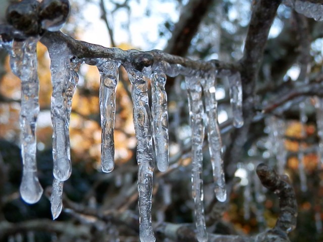 I enjoyed our fleeting cold snap so thoroughly