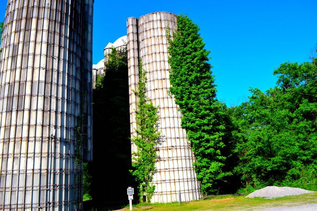 Phinizy Silos