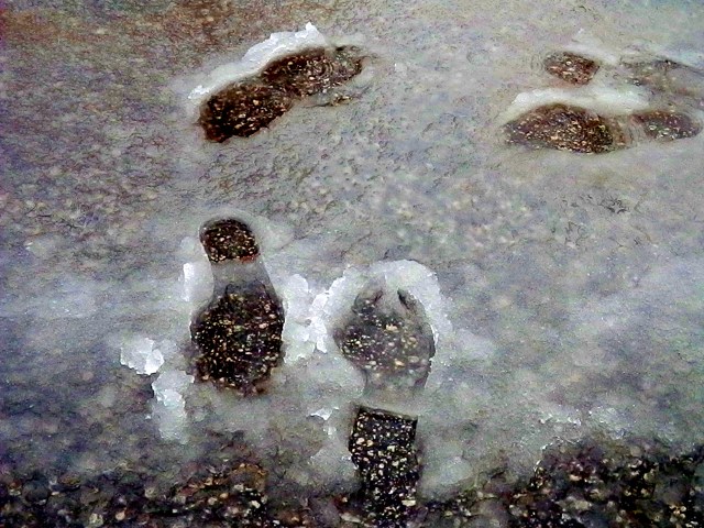 I took this photo during Winter Storm Leon in Augusta, GA last winter.