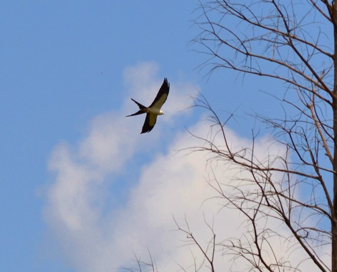 024