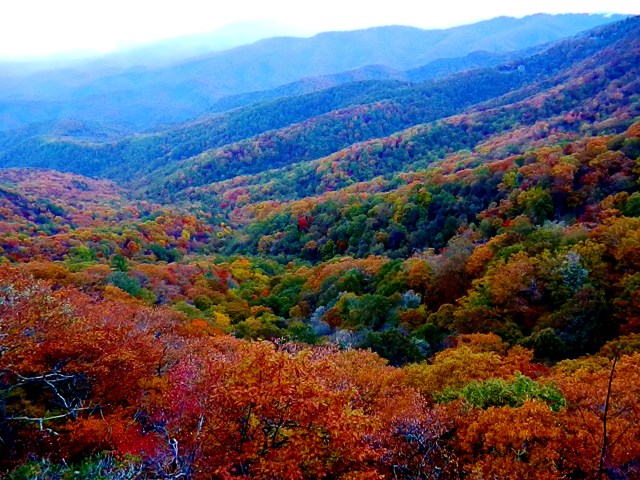 The view along the Blue Ridge Parkway