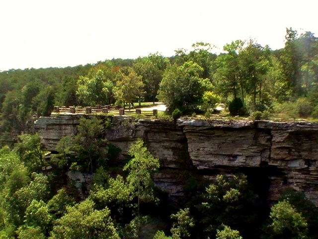 Cliff face - From the mountains of Alabama